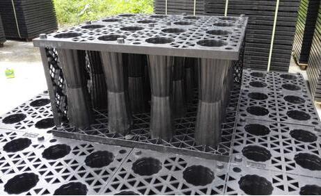 pp雨水收集模塊：五大特點闡述其魔力，帶你實勘現(xiàn)場安裝步驟！